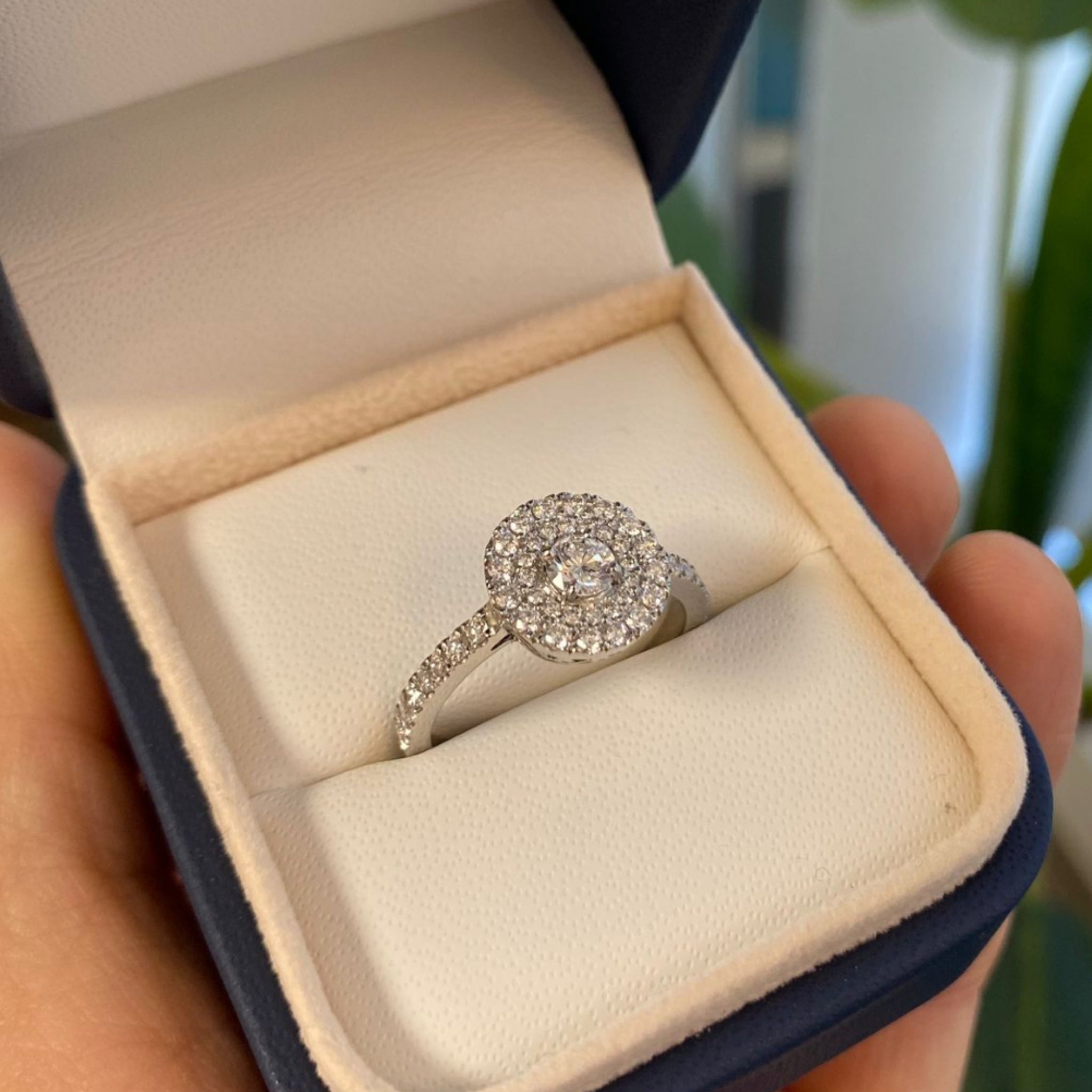 Anillo Doble Halo Grifas