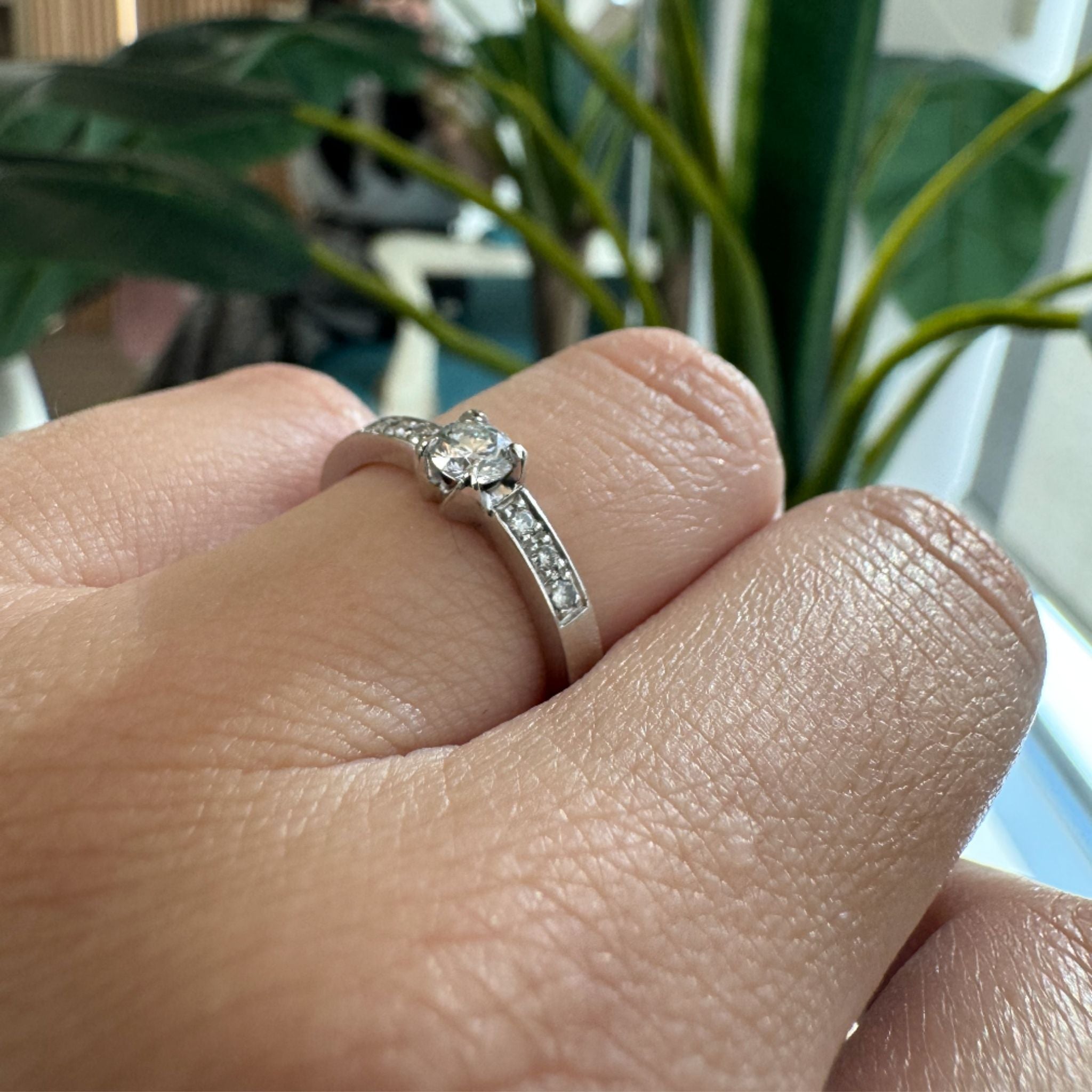 Anillo Solitario