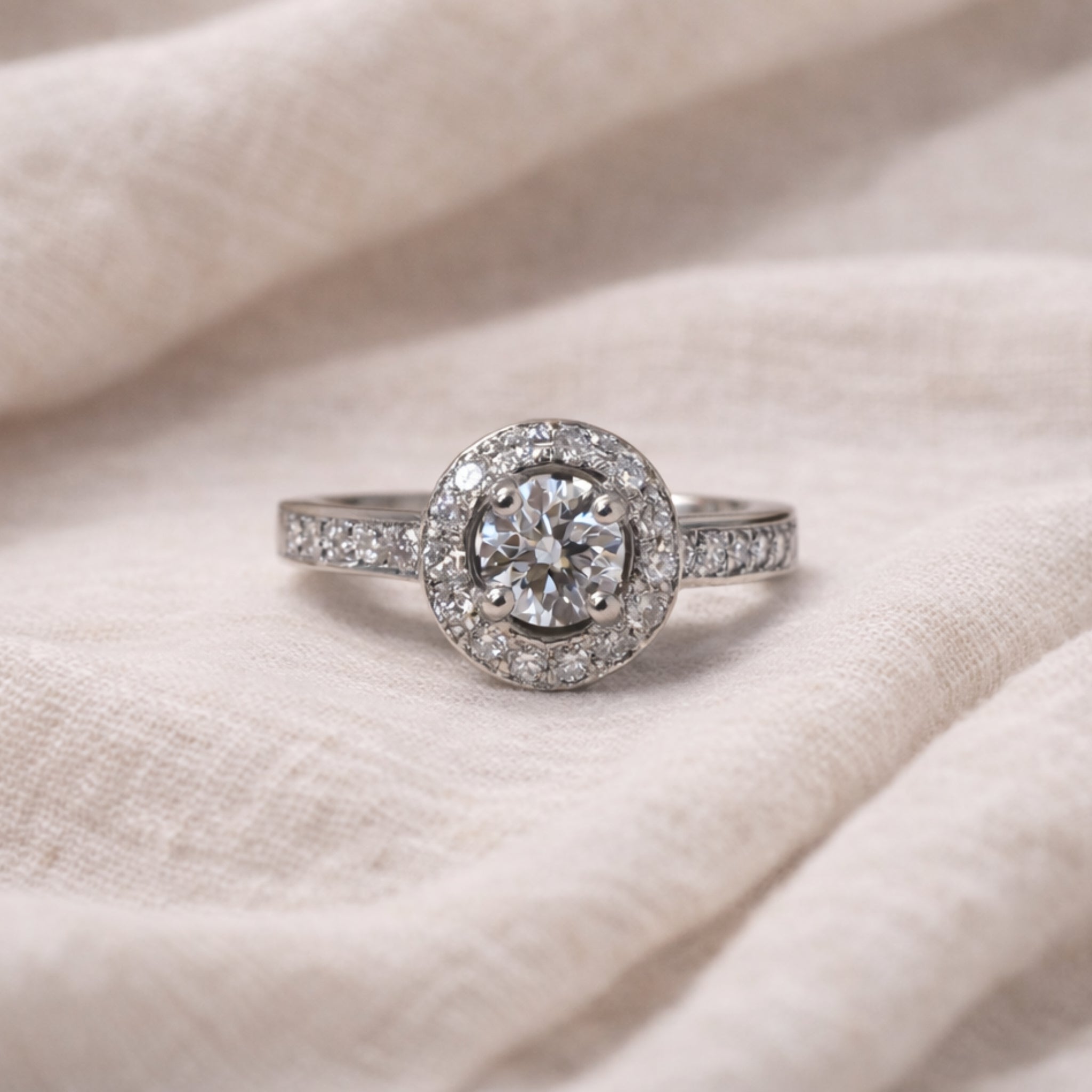 Anillo Halo Riel