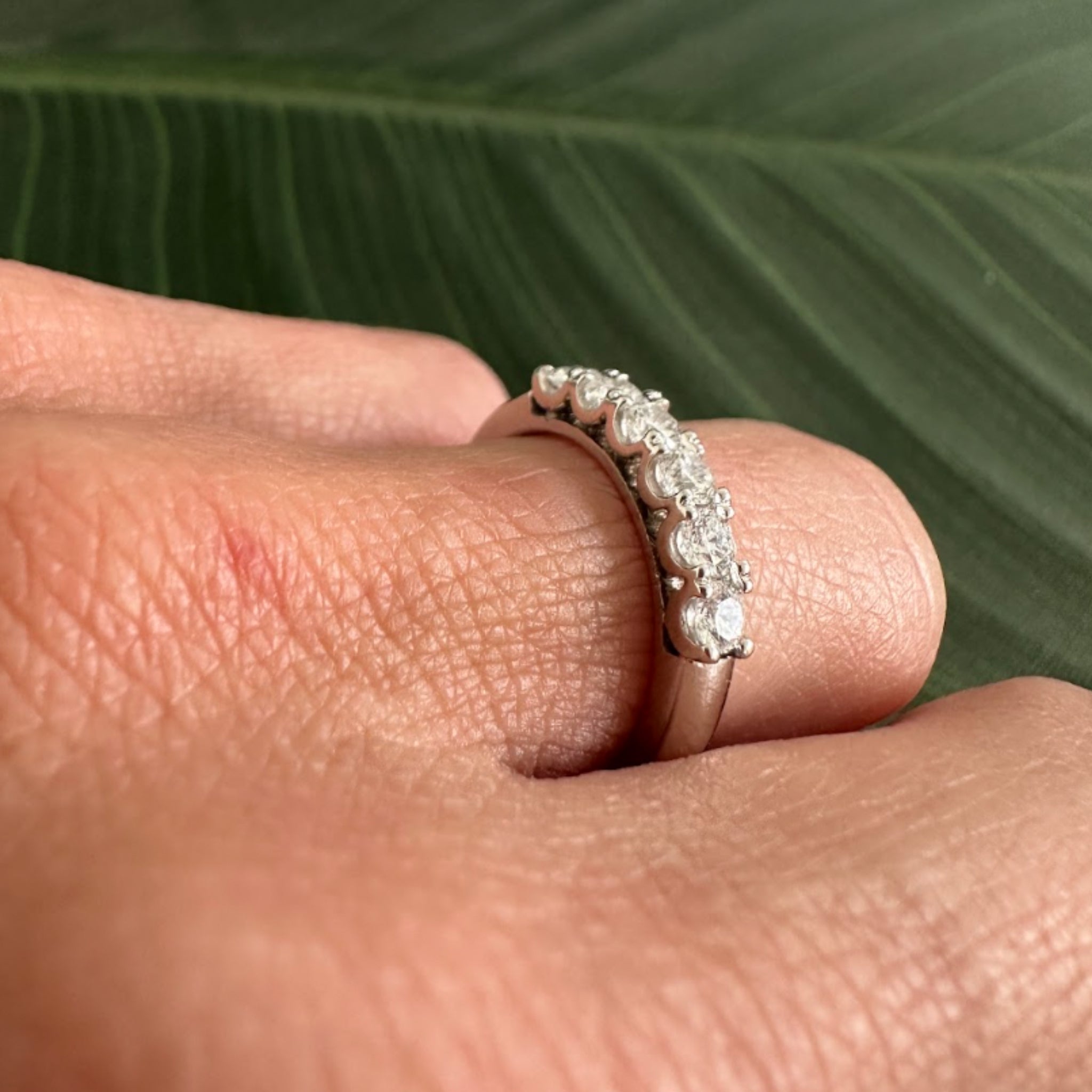 Anillo Cintillo Grifas
